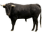 Spanish bull bp - zdarma png animovaný GIF