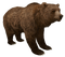 Niedźwiedź - png gratis GIF animado