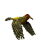 Pájaro de cabeza roja - Besplatni animirani GIF animirani GIF
