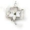 fleur blanche.Cheyenne63 - Free PNG Animated GIF