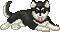 dog - NitsaPapacon - Δωρεάν κινούμενο GIF κινούμενο GIF