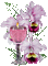 bougies fleurs - Besplatni animirani GIF animirani GIF
