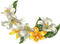 flowers milla1959 - безплатен png анимиран GIF