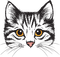 MMarcia gato cat chat - png gratis GIF animasi