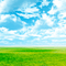 Y.A.M._Summer background - Free PNG Animated GIF