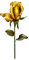 rose jaune.Cheyenne63 - darmowe png animowany gif