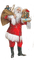 Navidad - δωρεάν png κινούμενο GIF