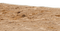 Песок;берег - Free PNG Animated GIF