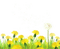 dandelions Bb2 - Free PNG Animated GIF