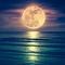 Moon shine Sea Place - Free PNG Animated GIF