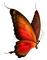 butterfly butterflies bp - Free PNG Animated GIF