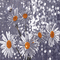 background hintergrund fondo flowers milla1959 - Nemokamas animacinis gif animuotas GIF