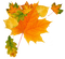 leaves laub feuilles - бесплатно png анимированный гифка