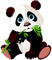 PANDA BEar - ingyenes png animált GIF