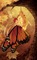 butterfly fairy - png gratis GIF animasi