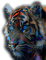 Tiger - безплатен png анимиран GIF