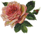 Rose Vintage - PNG gratuit GIF animé