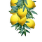 lemon tree Bb2 - 免费PNG 动画 GIF