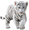 Bébé Tigre blanc - nemokama png animuotas GIF