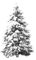 pinetree-snow-winter - PNG gratuit GIF animé
