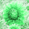 Me  /  animated.background.sunflower.green.idca - 免费动画 GIF 动画 GIF