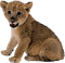 animal - безплатен png анимиран GIF