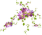 pink fleurs deco flowers pink purple - безплатен png анимиран GIF