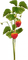 fresas - zadarmo png animovaný GIF