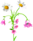 Flowers.Pink.White - PNG gratuit GIF animé