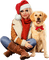 femme chien noel woman dog christmas - PNG gratuit GIF animé