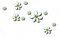 Flowers Green - PNG gratuit GIF animé