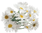 Flowers white bp - PNG gratuit GIF animé