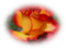 patymirabelle fleurs rose - zadarmo png animovaný GIF