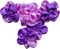Kaz_Creations Purple Deco Scrap Flowers  Colours - PNG gratuit GIF animé