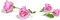rose rose.Cheyenne63 - png gratis GIF animasi