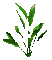 Grass - Bezmaksas animēts GIF animēts GIF