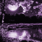 Y.A.M._Night moon fantasy background purple - GIF animé gratuit GIF animé