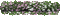 Pflanze - 無料のアニメーション GIF アニメーションGIF