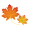 leaves laub feuilles - kostenlos png Animiertes GIF