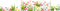 grass flower - ilmainen png animoitu GIF