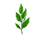 листья - GIF animasi gratis