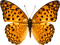 Kaz_Creations Butterfly - ingyenes png animált GIF