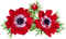 kukka fleur flower - безплатен png анимиран GIF