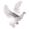 oiseau - 無料png アニメーションGIF