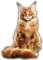 Rena cat Katze - Free PNG Animated GIF
