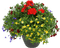 Blumentopf - ingyenes png animált GIF