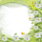 spring frame with white flowers - PNG gratuit GIF animé