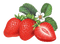 strawberry  by nataliplus