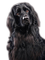 Rena schwarz black Dog Hund Tier - nemokama png animuotas GIF