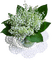 Lily of the Valley - δωρεάν png κινούμενο GIF